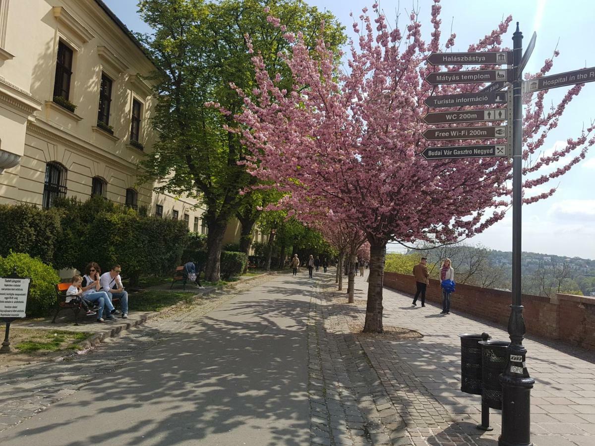 Budasmile Appartment At Buda Castle - Aircon & Free Parking ブダペスト エクステリア 写真