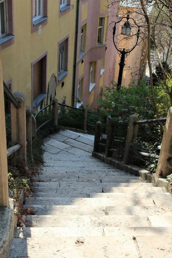 Budasmile Appartment At Buda Castle - Aircon & Free Parking ブダペスト エクステリア 写真